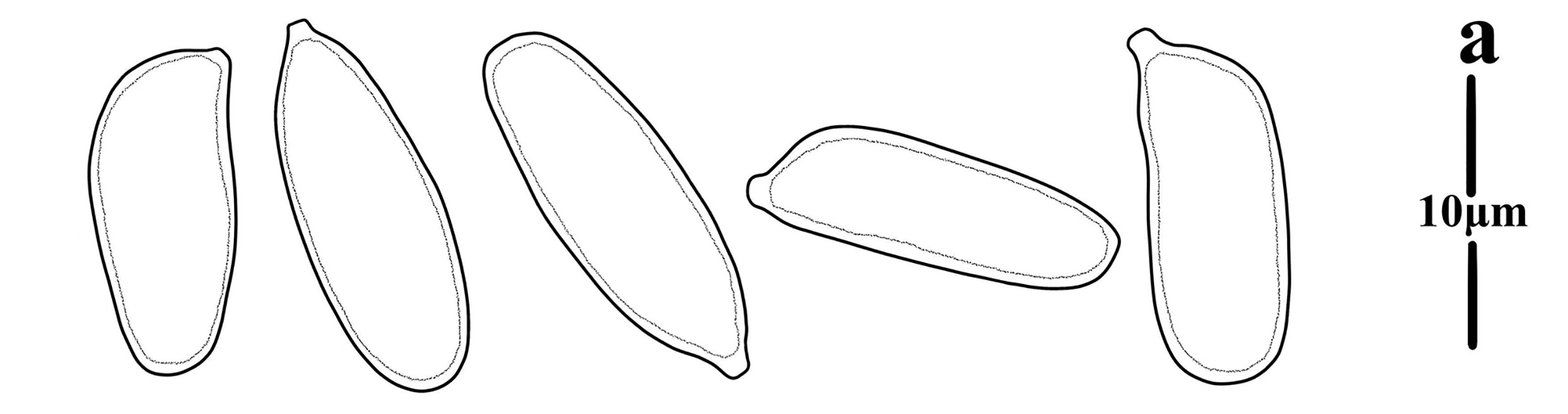 Figure 88